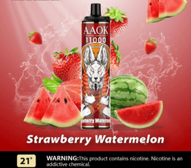 AAOK - RECHARGABLE DISPOSABLE 11000 PUFFS 5% ( STRAWBERRY WATERMELON )