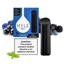 MYLE MINI DISPOSABLE -5%MG- 2PC/PACK ( ICED QUADBERRY )