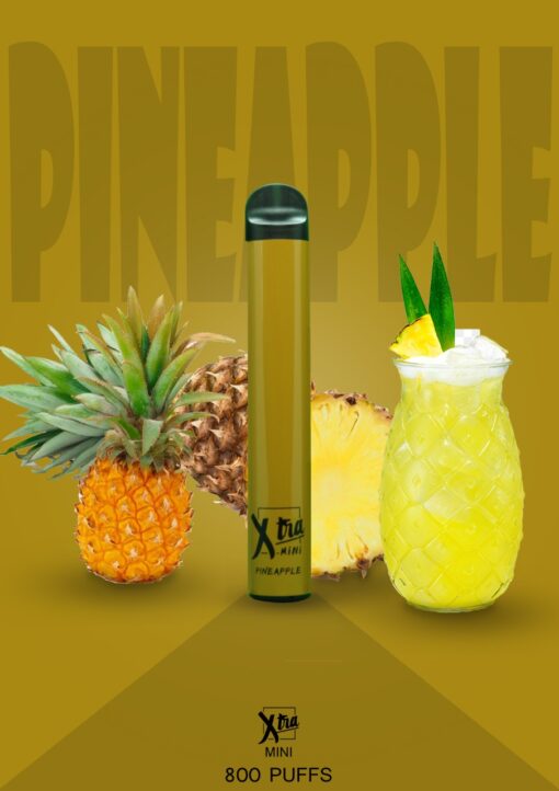 XTRA DISPOSABLE - MINI 800 PUFFS 5% ( PINEAPPLE NAKED PLEASURE )